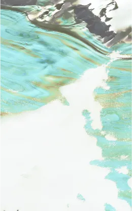 液相色谱仪在环境监测中的应用